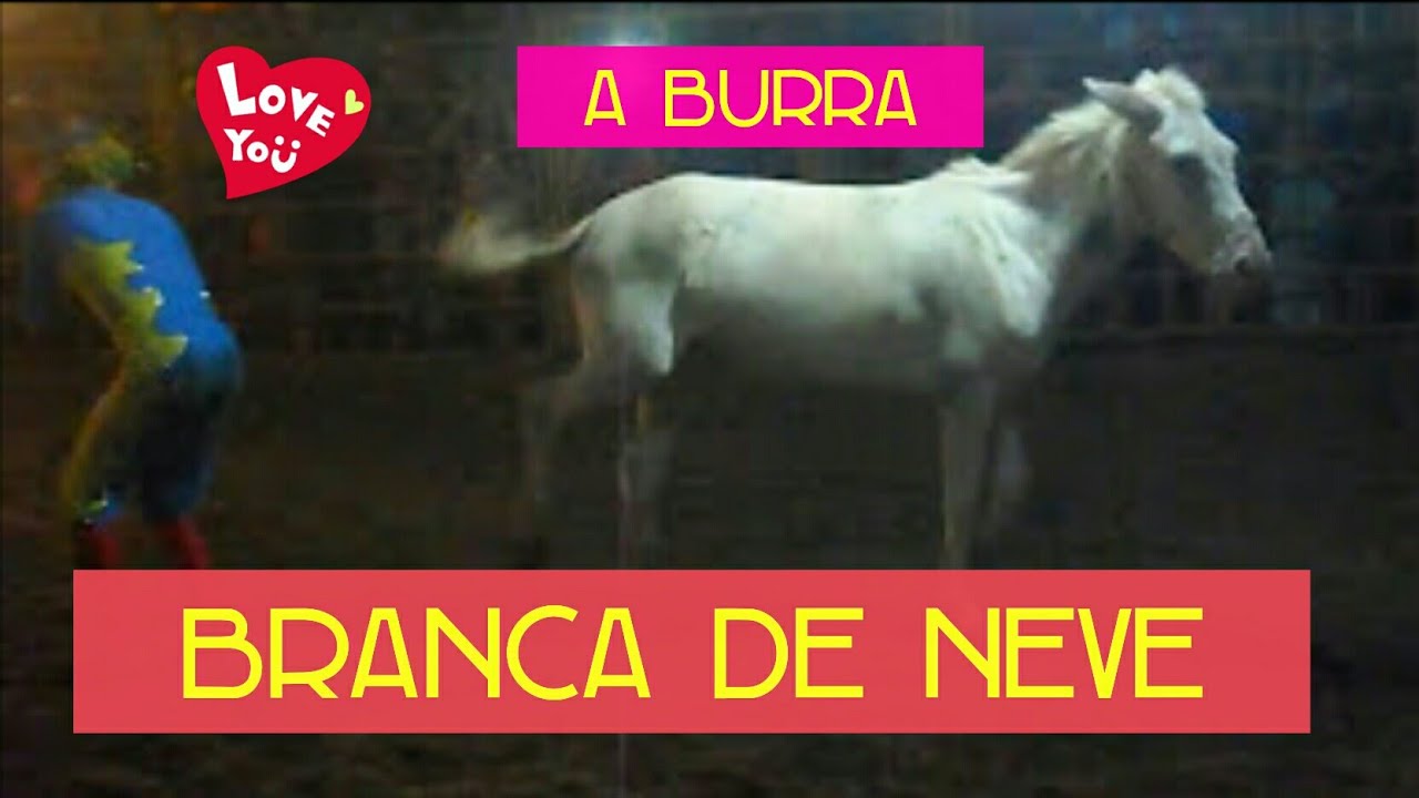 a burra inteligente