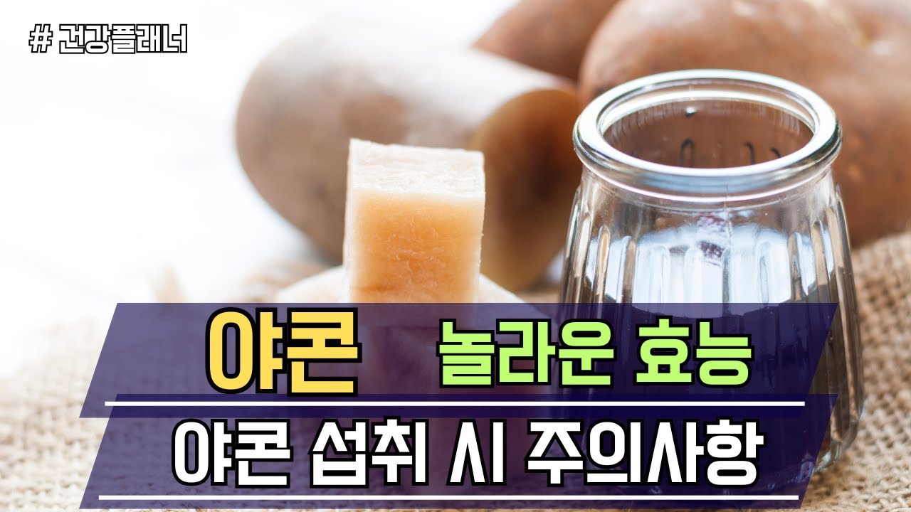 야콘의 놀라운 효능 및 야콘 섭취 시 주의사항