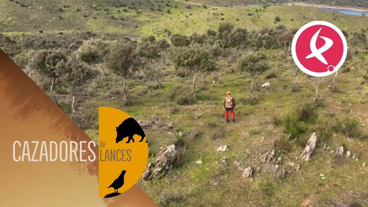 La caza menor como competición deportiva | Cazadores de Lances