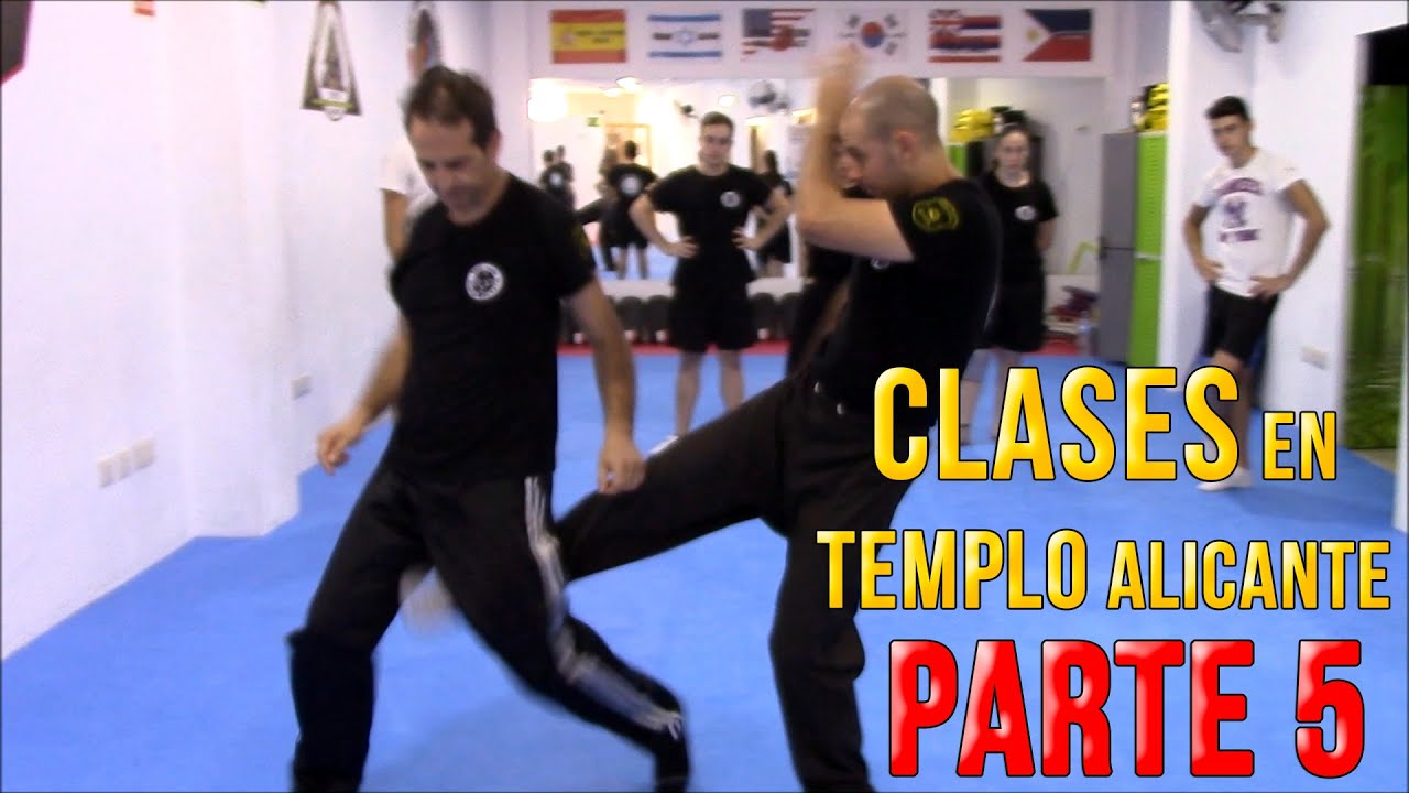 ACADEMIA TEMPLO ALICANTE | CLASES EN TEMPLO 