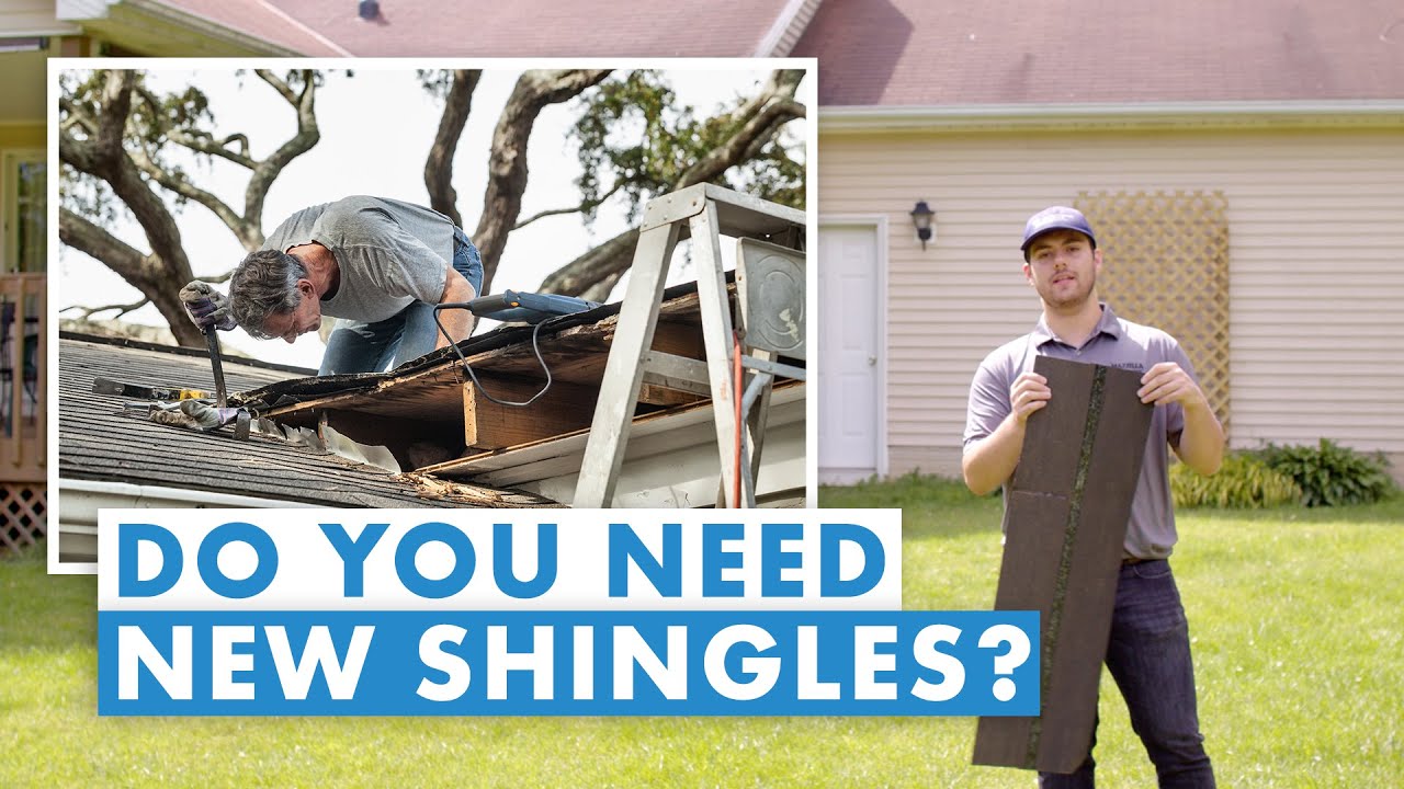 Do You Need New Roof Shingles? 9 Problems of Asphalt Shingle Roofing