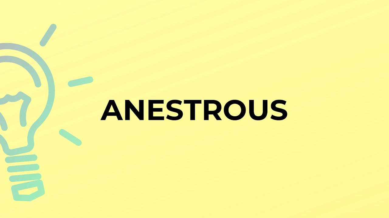What is the meaning of the word ANESTROUS?
