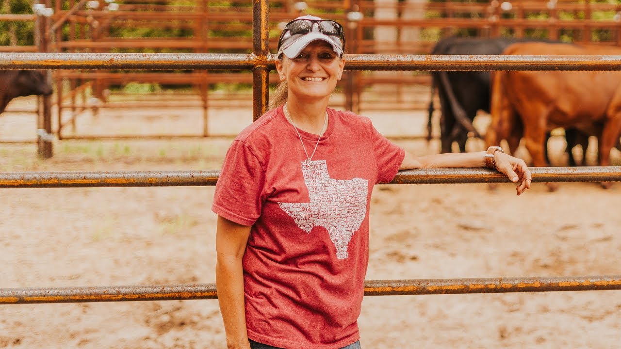 Affordable Cattle Handling System for Beginners