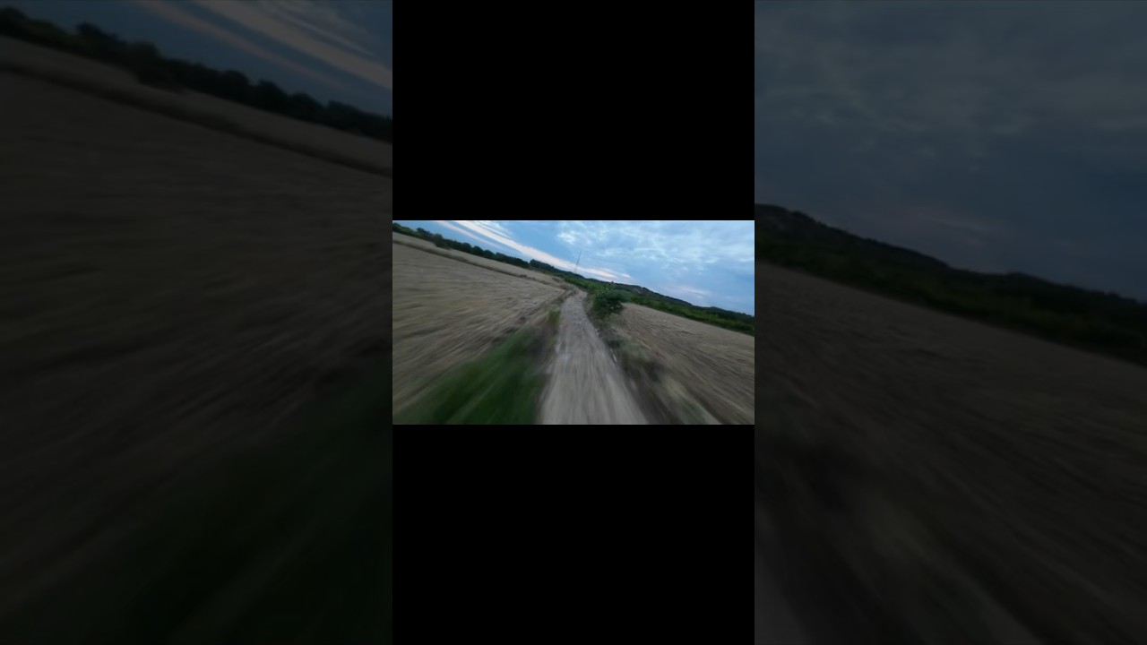 FPV Racing Through a Narrow Field Path.