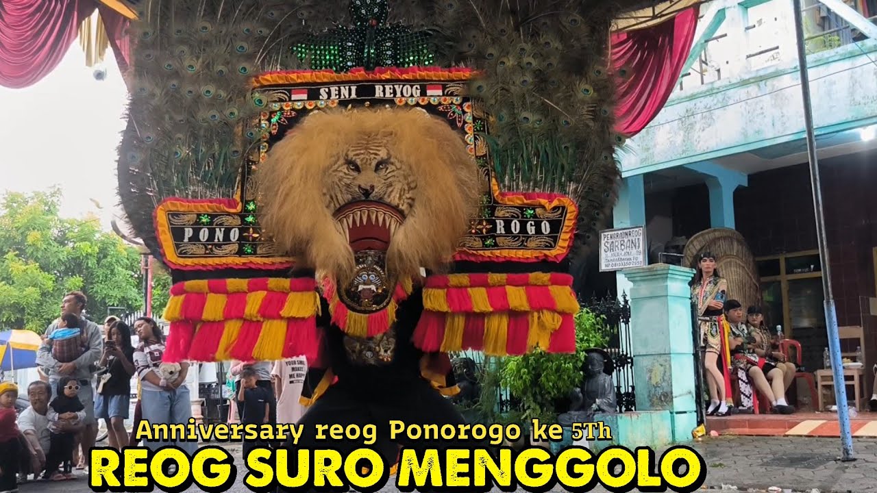 KUAT BANGET LUR ❗ MESKIPUN BADANNYA KECIL TAPI KUAT BANGET SOLAH GULUNG PAKAI  REOG BESAR