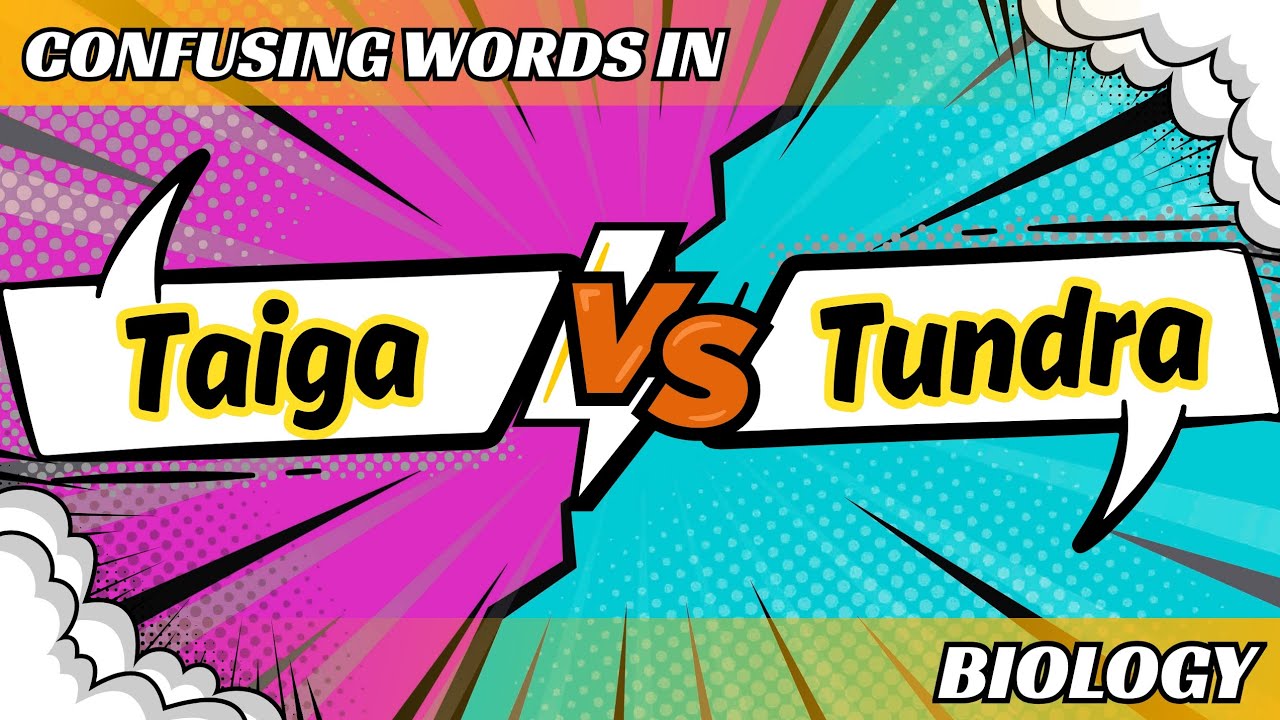 TAIGA vs TUNDRA | Ano ang Pinagkaiba?
