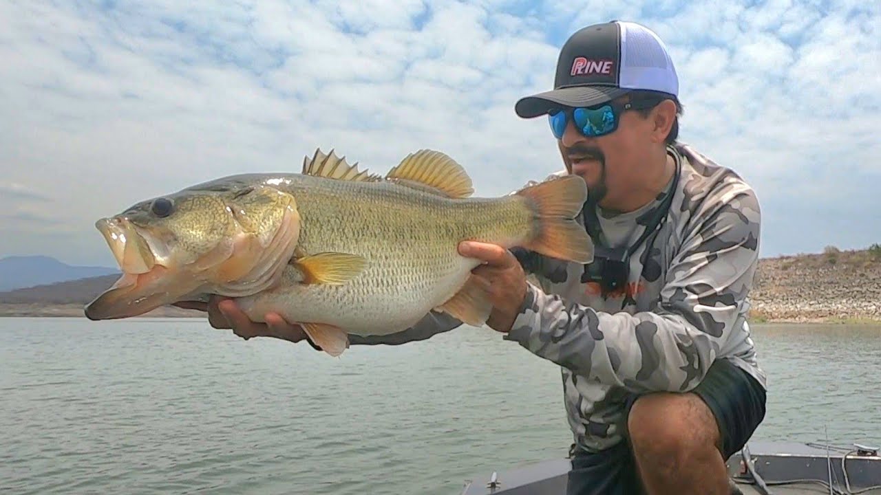 LOBINAS ENORMES ‼️ Pasi&oacute;n por las GRANDES