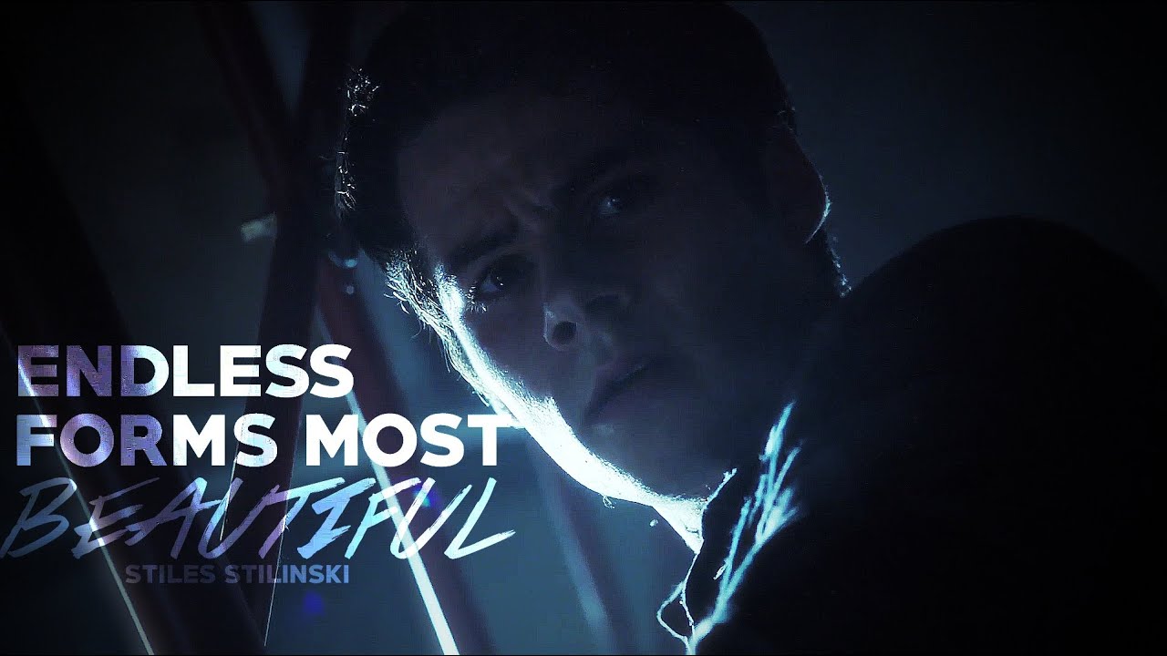 Stiles • Why can't you trust anyone?