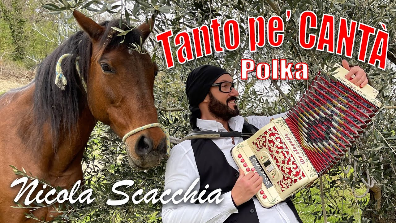 Tanto pè cantà (polka) NICOLA SCACCHIA campione mondiale di organetto