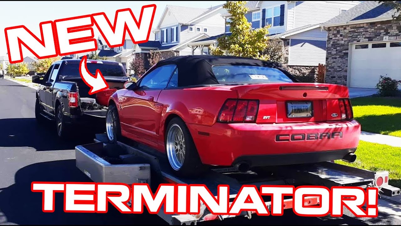 I Bought A TERMINATOR! | Bringing My Dad's Old Cobra Home...
