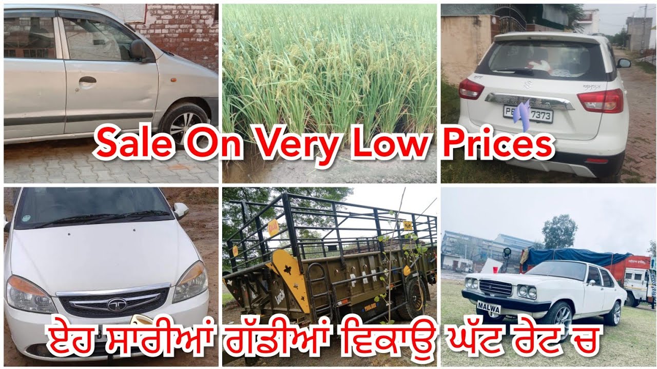 6 Acre Zameen /Hyundai Santro /Tata Indigo /Vitara Brezza /Hindustan Contessa /16 Futi Trally /Cars