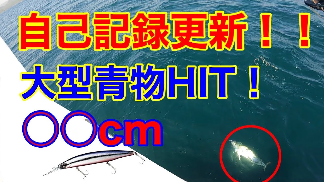 【セットアッパー145-sdr】春の大型青物！！自己記録更新！