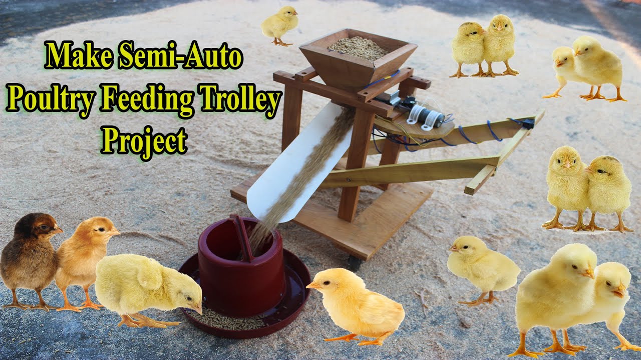 Make feed distribution trolleys for poultry farms