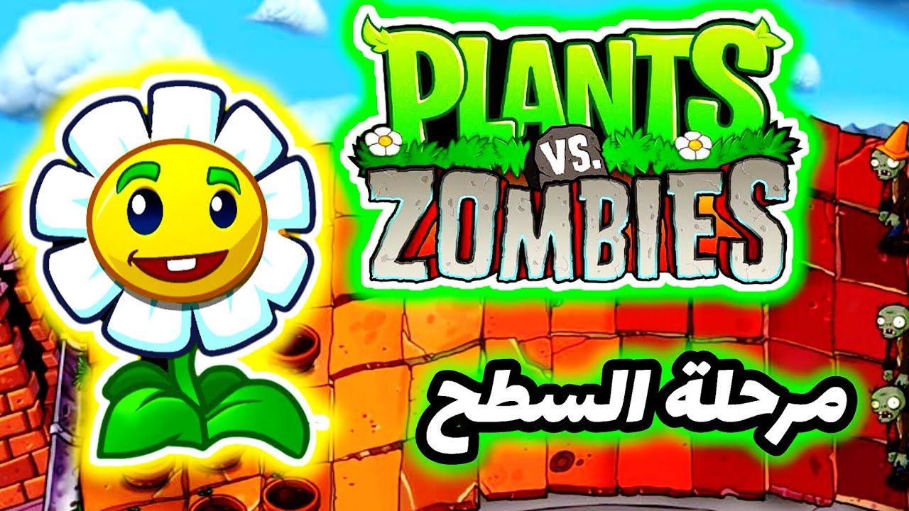 على السطح.Pvz1. مراحل السطح الاخيرة
