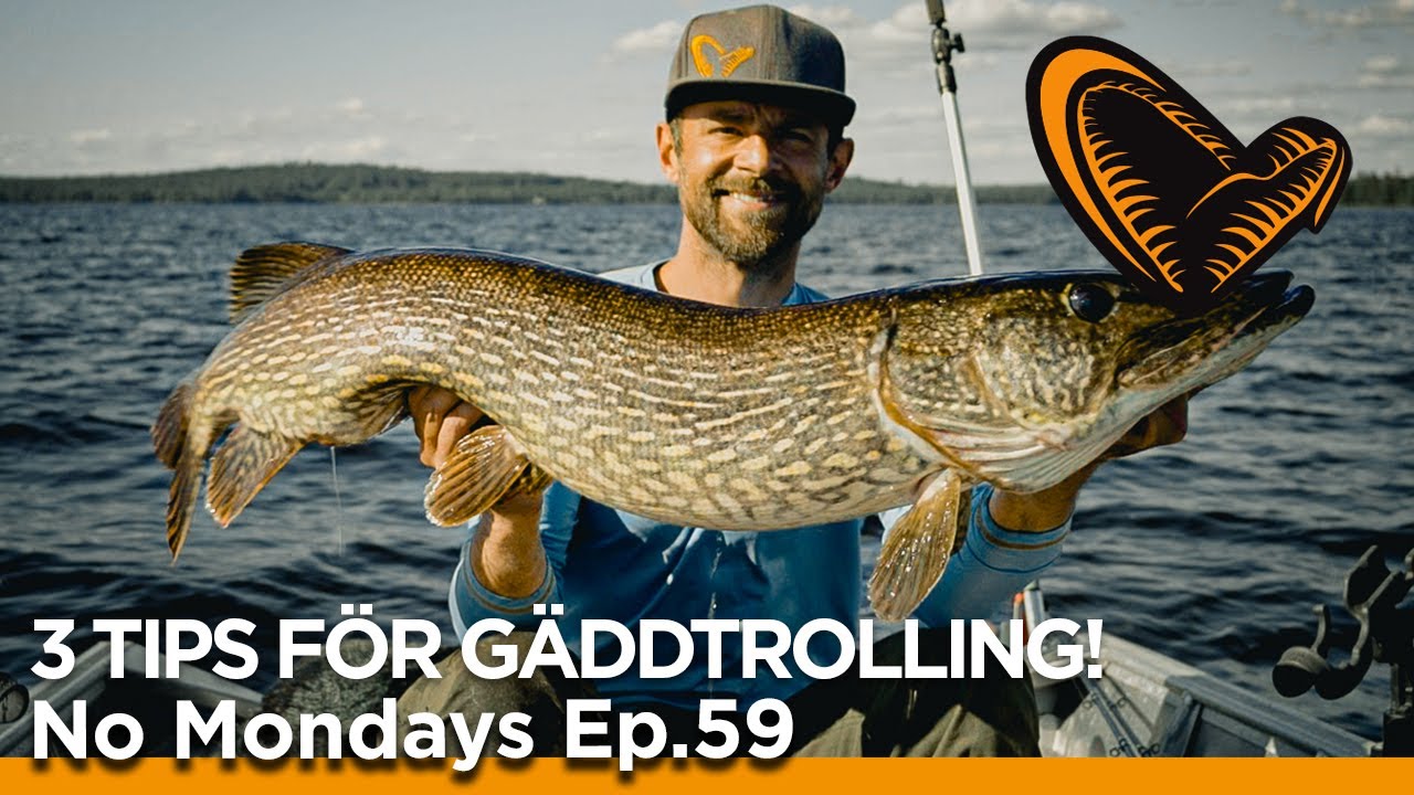 No Mondays - Ep 59 - 3 TIPS FÖR GÄDDTROLLING MED STORA BETEN!