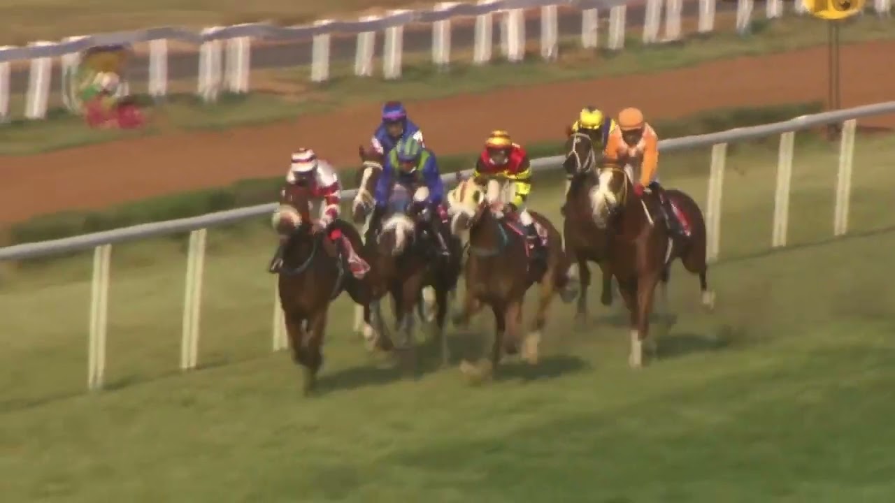 WONDERFUL wins The Guindy Grand Prix (Gr.3)