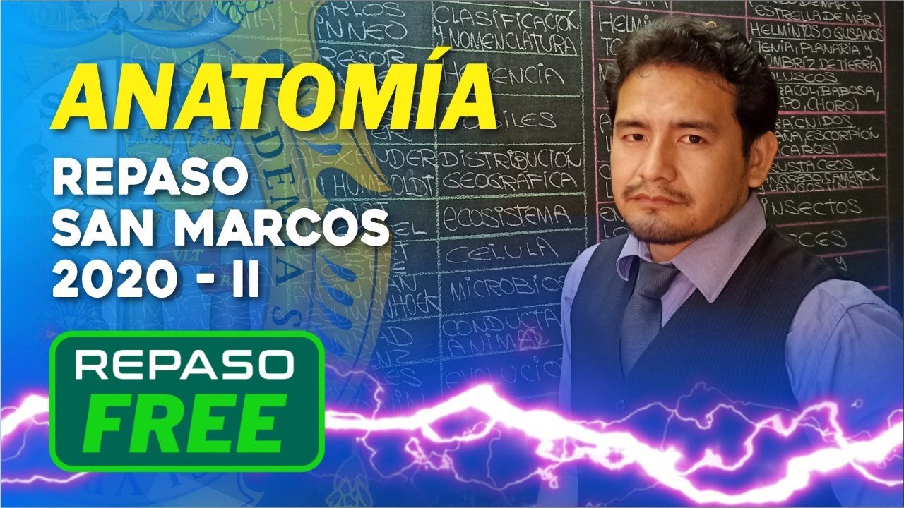 ANATOMÍA ✅ Repaso San Marcos 2020 - ll 📢 Full DECO 🧐