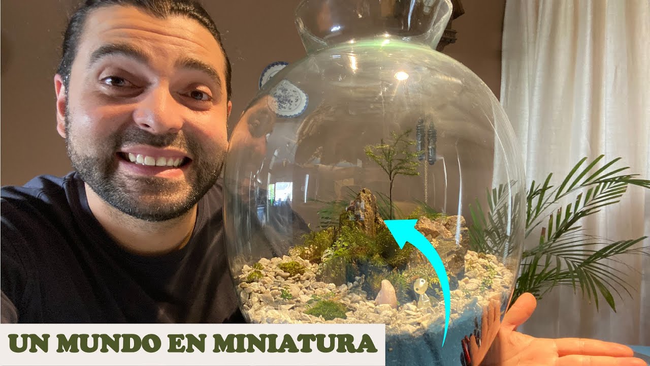 Armando un terrario 🌱 | Paso a paso 🌱 | Jorge Lanza