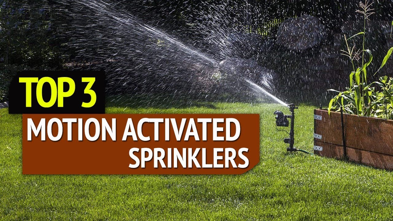 TOP 3: Best Motion Activated Sprinklers