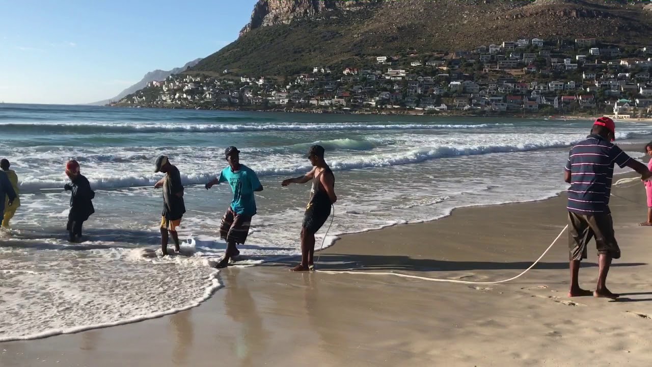 Fish Hoek Beach Trek-net Fishing, Dec 2018.