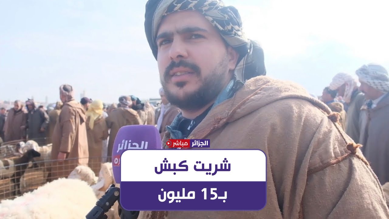 موال من ولاية الجلفة: السوق باطل و راني شريت كبش يوزن 70 كغ بـ15 مليون والإستراد ما يأثرش على السوق