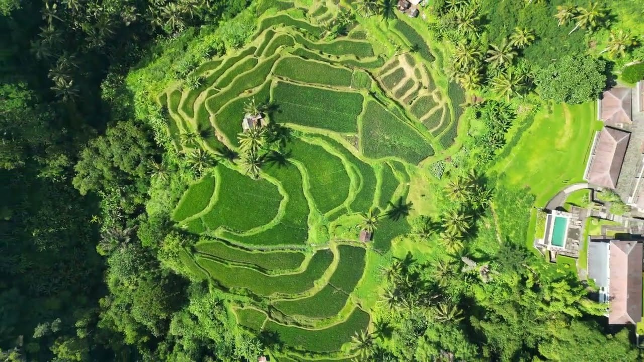 Suarapura Resort&Spa - Sebatu Bali