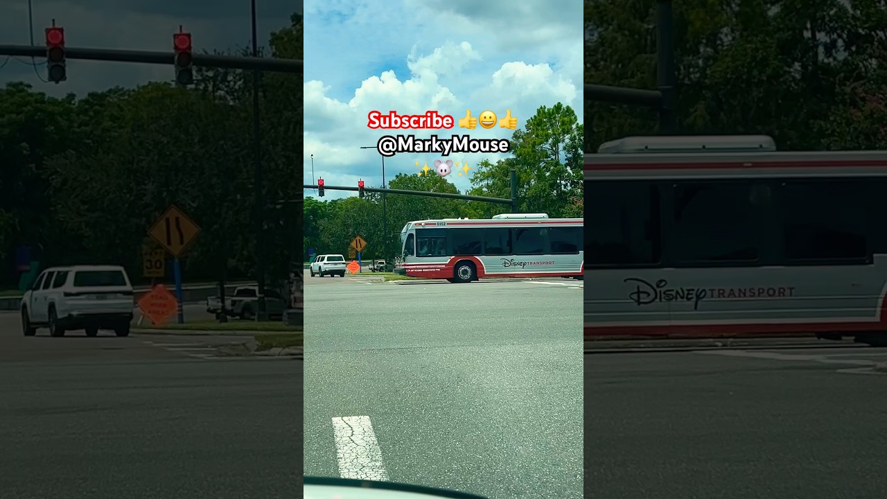 Autobus Nova, Przegubowy autobus Nova #buses #nova #bus #busdriver #busdriving #markymouse #szorty
