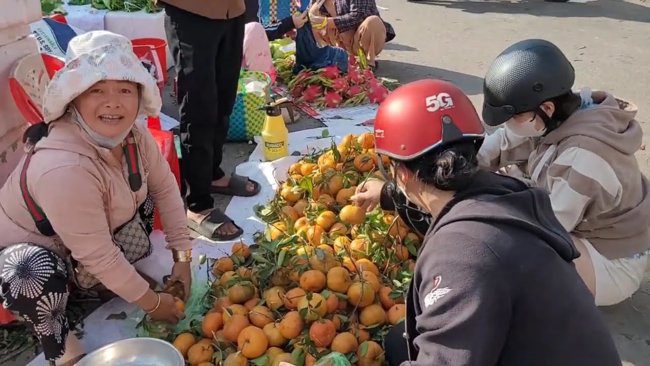 Chợ Tết Cao Lãnh Mới Nhất 2026 Như Thế Nào- Khám Phá Chợ Tết Miền Tây