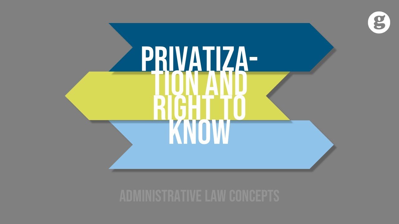 Privatization and the Public Right to Know
