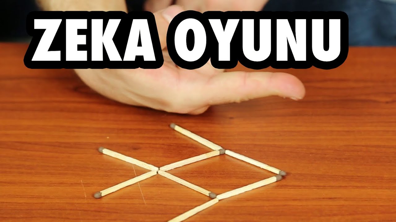 Balık Diğer Y&ouml;ne Nasıl Bakar? - Zeka Oyunu