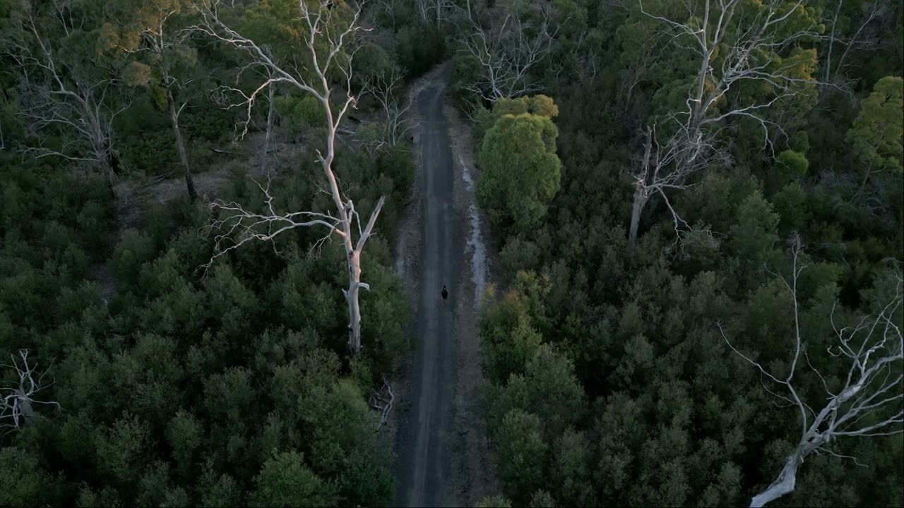 Plenty Gorge Parklands hike in 4K.005