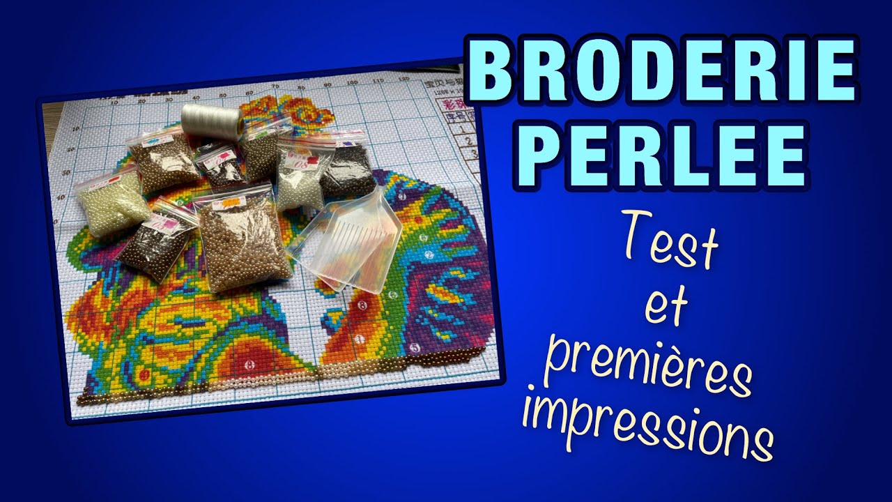 BRODERIE PERLEE ⭐ TEST ET PREMIERES IMPRESSIONS ⭐ LES PASSIONS DE JESS #LPDJ #CROSSSTITCH