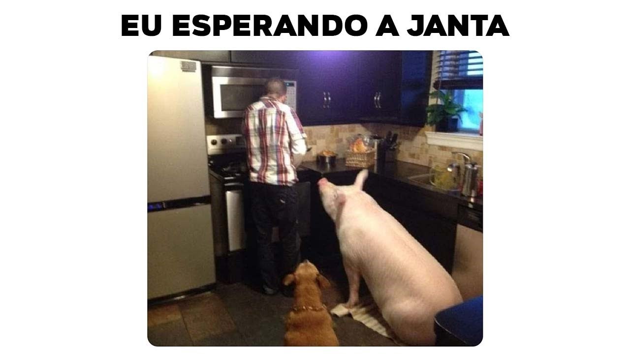 MEMES EM IMAGENS - EU ESPERANDO A JANTA
