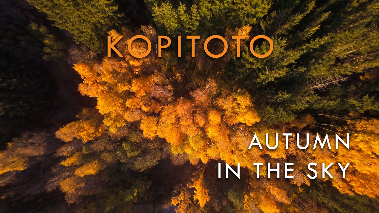 Kopitoto Sofia | Amazing Fall Colors on Vitosha Mountain