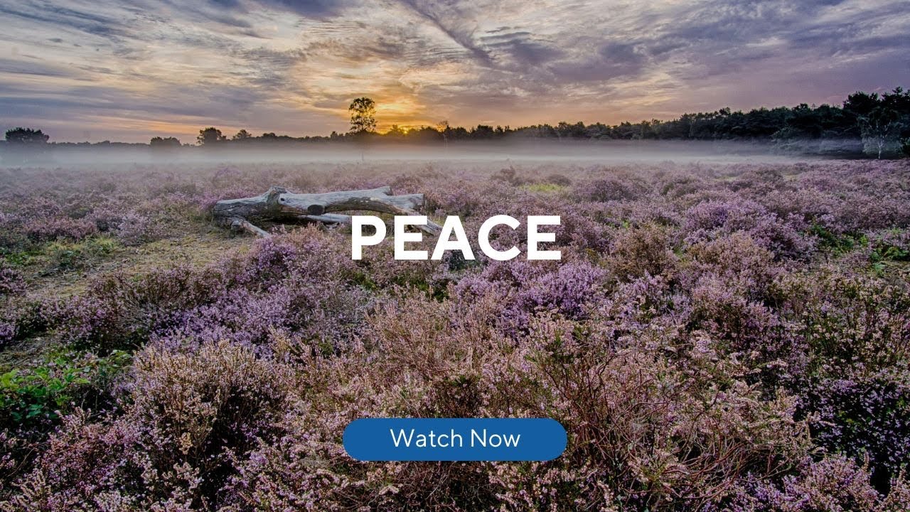 Peace | Calming Music Heavenly Sounds | Instrumental | Mediation Music | Stress Relief | Deep Sleep