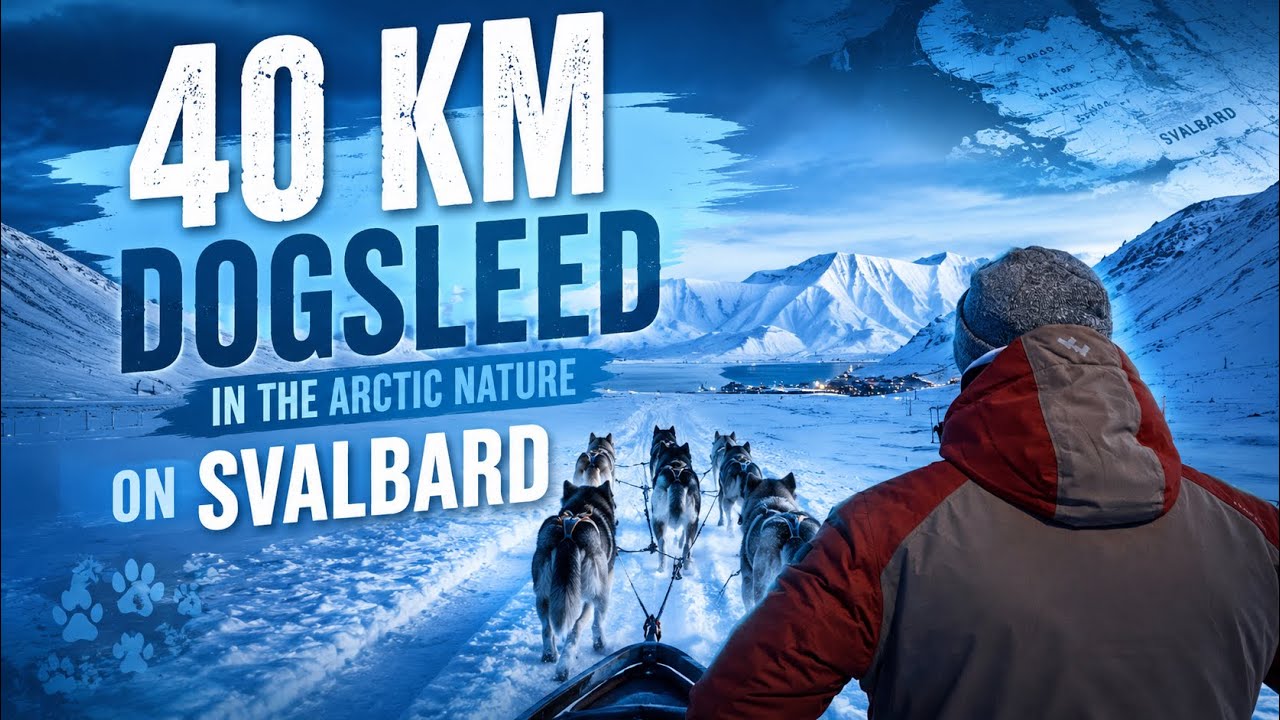 40 km på hundeslæde inkl. lyd / Raw video 