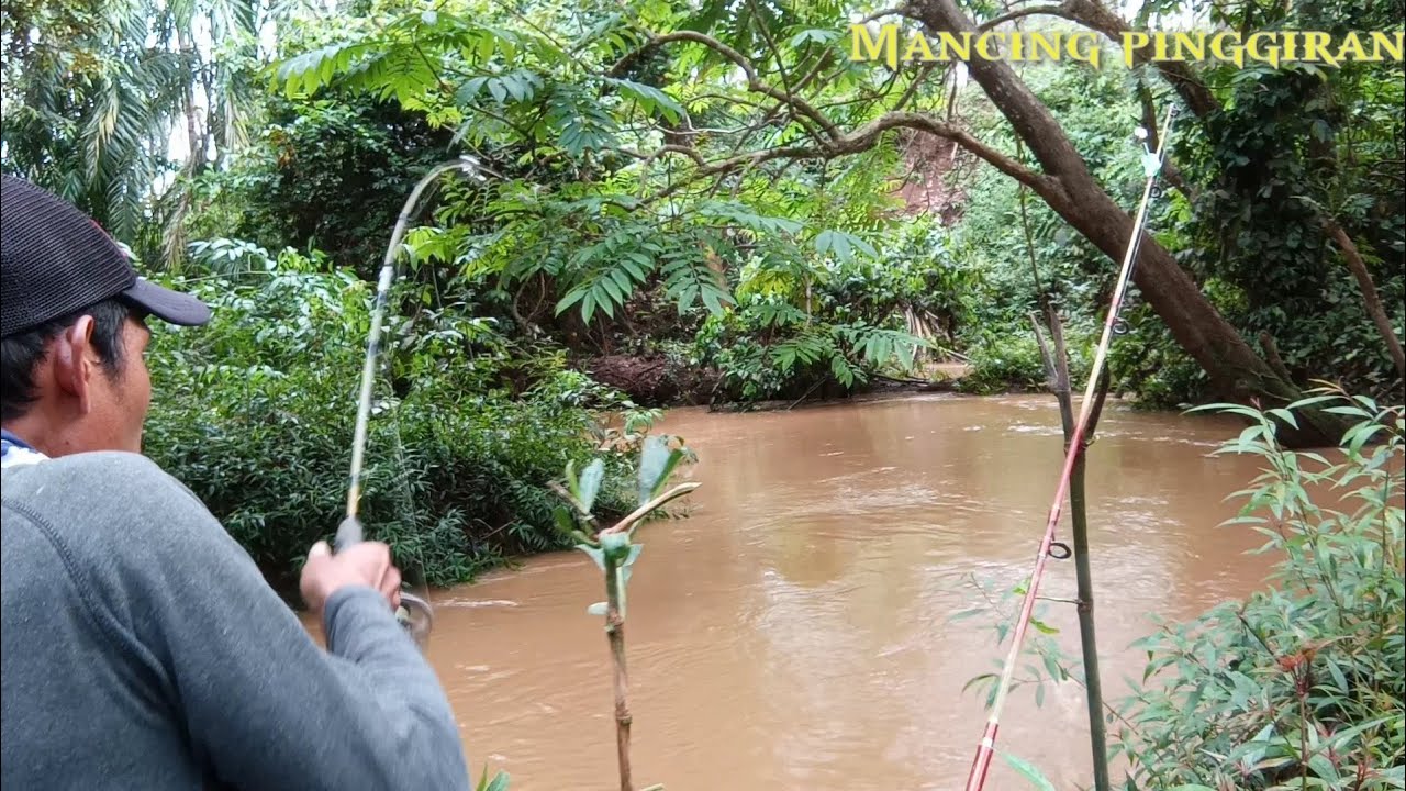 Mancing sidat di sungai banjir // umpan cacing dan udang