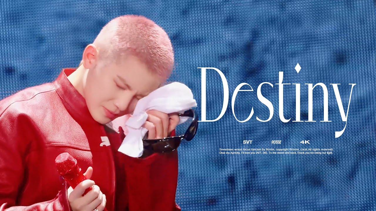 [4K] 250719 HOSHIxWOOZI FAN CONCERT WARNING ‘DESTINY’ WOOZI SOLO - SEVENTEEN(세븐틴) (WOOZI Focus)우지직캠