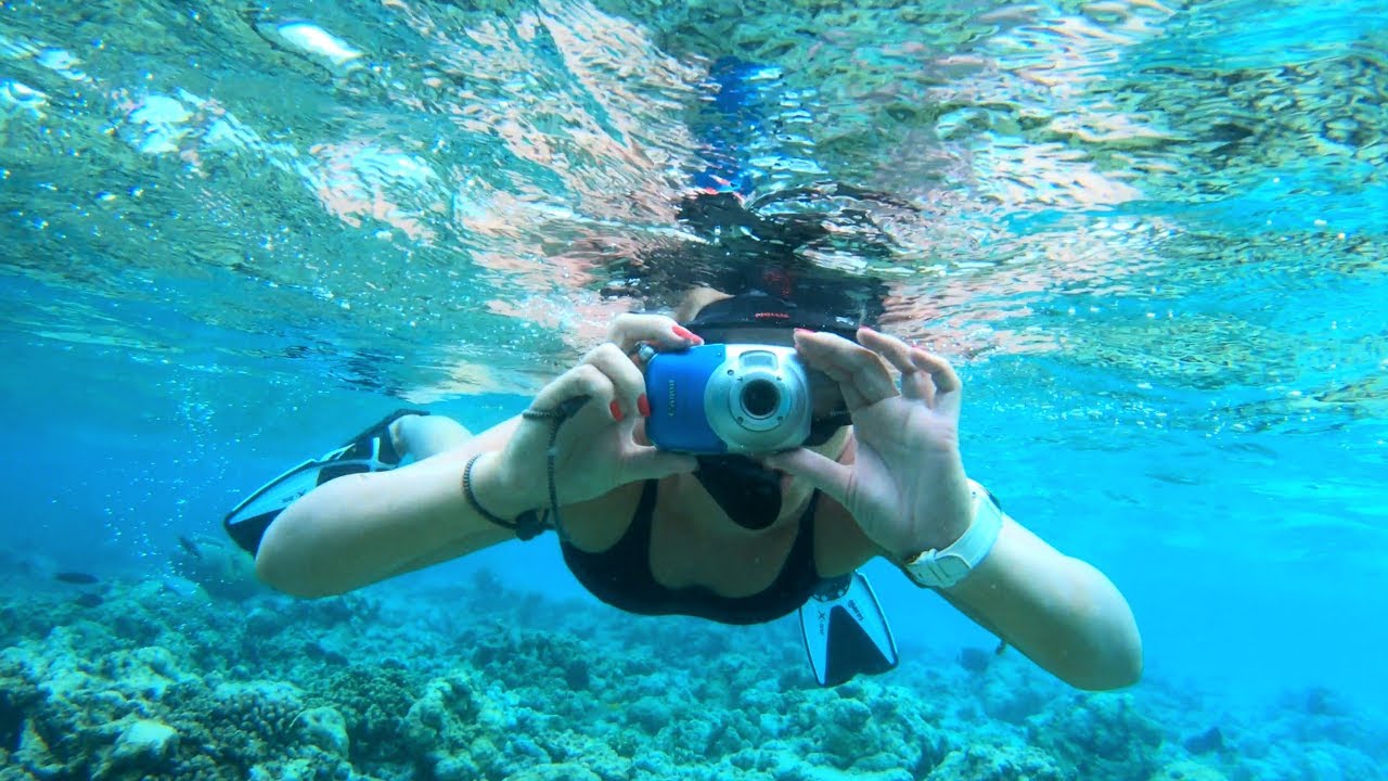 Maldives Trip to Turtle Point 4K