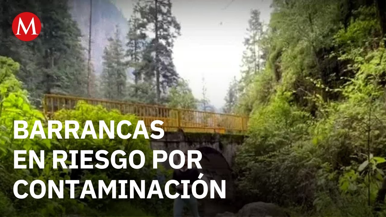 Barrancas de la CdMx: ecosistemas vitales en riesgo