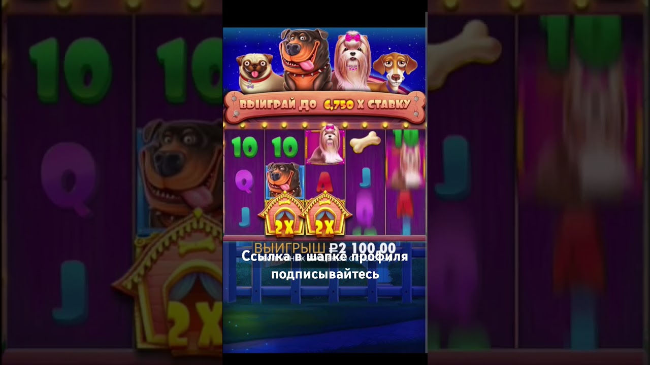 Окупная бонуска в The Dog House #bonus #slot #cazino #удача #tricks #trix #games #jackpot #melstroy
