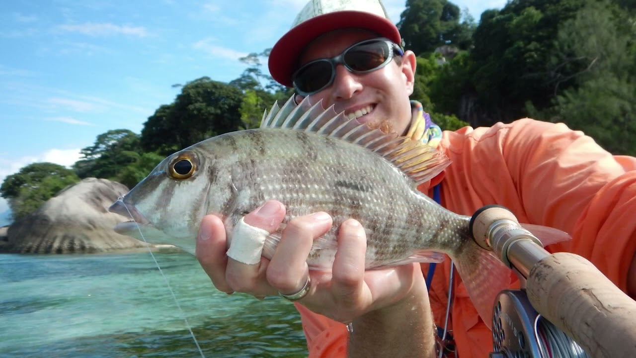 Seychelles Mah&eacute;  Flyfishing