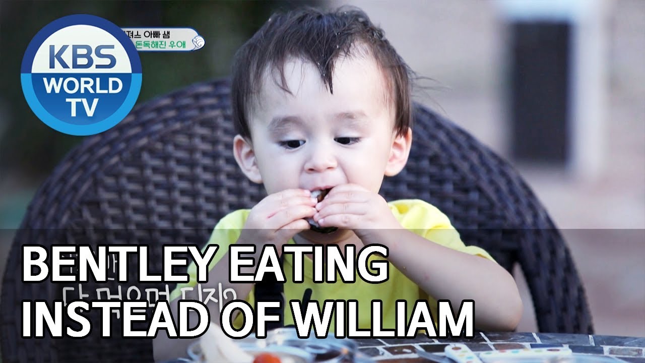 Bentley eating instead of William [The Return of Superman/2019.09.29]