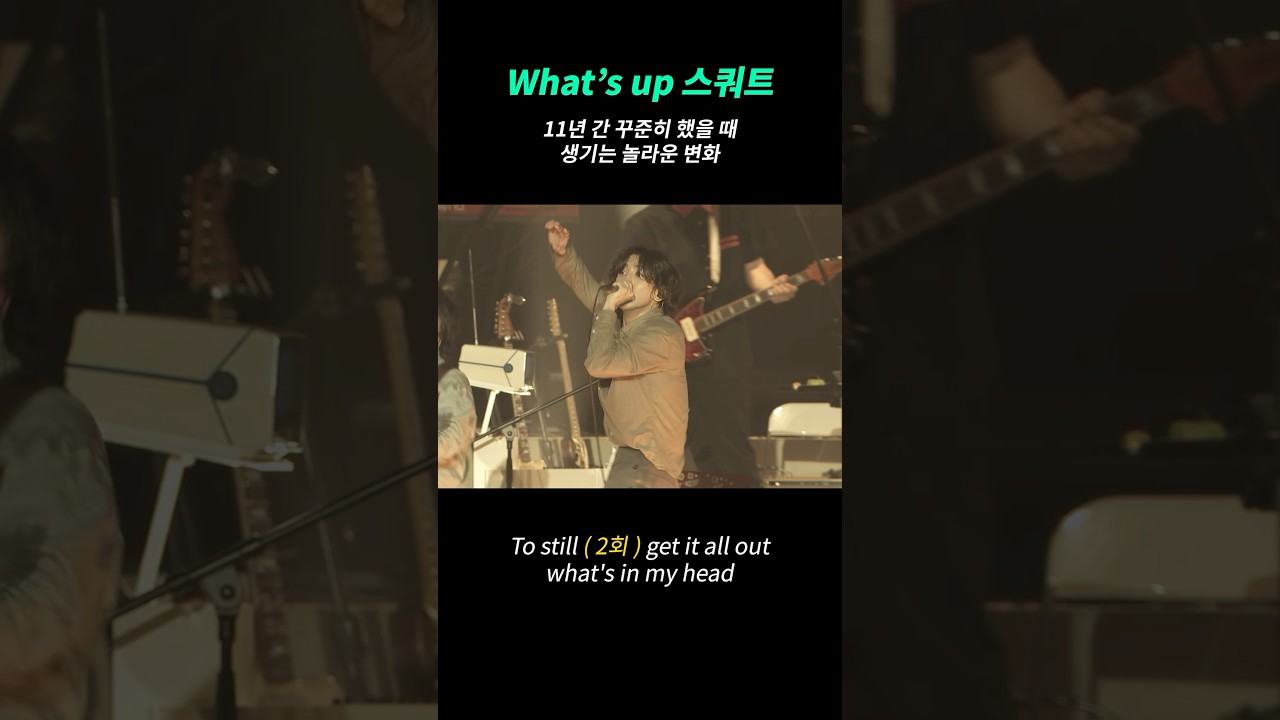 🛸 잔나비 2025 NEW 떼창특강 심화편 - What's up