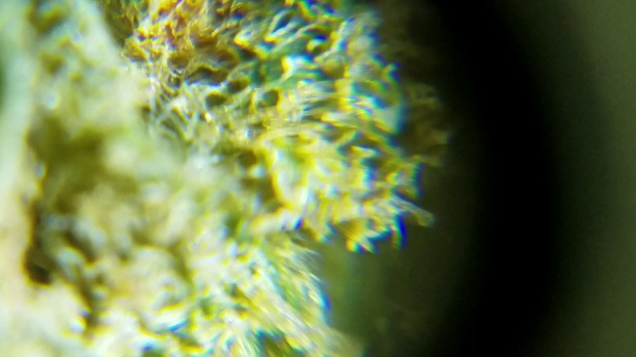 Green Crack Through a Microscope