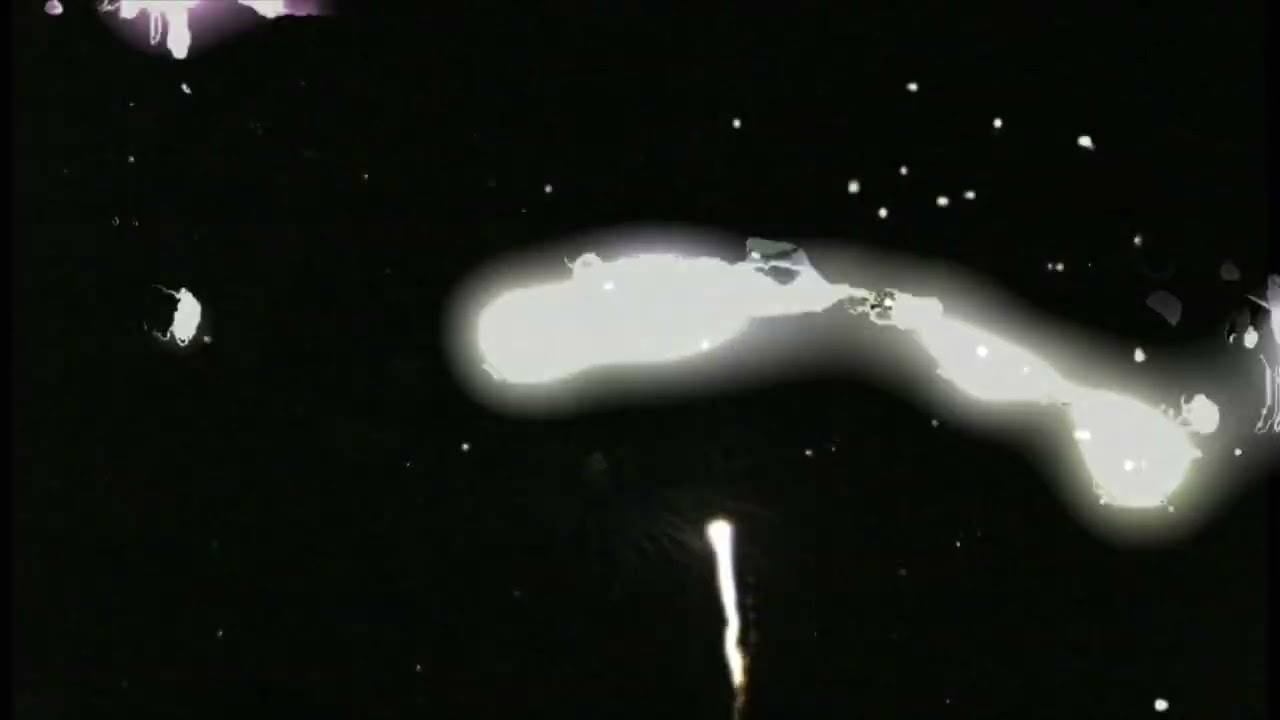 Special - Patina Wang (Official Video)