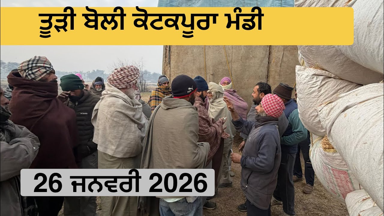 ਤੂੜੀ ਬੋਲੀ ਕੋਟਕਪੂਰਾ ਮੰਡੀ 26 January 2026 । ਤੂੜੀ ਰੇਟ ਅੱਜ ਦਾ । today Todi rate Kotkapura 