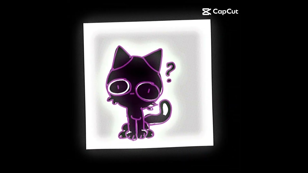 This is moon the cat! :3