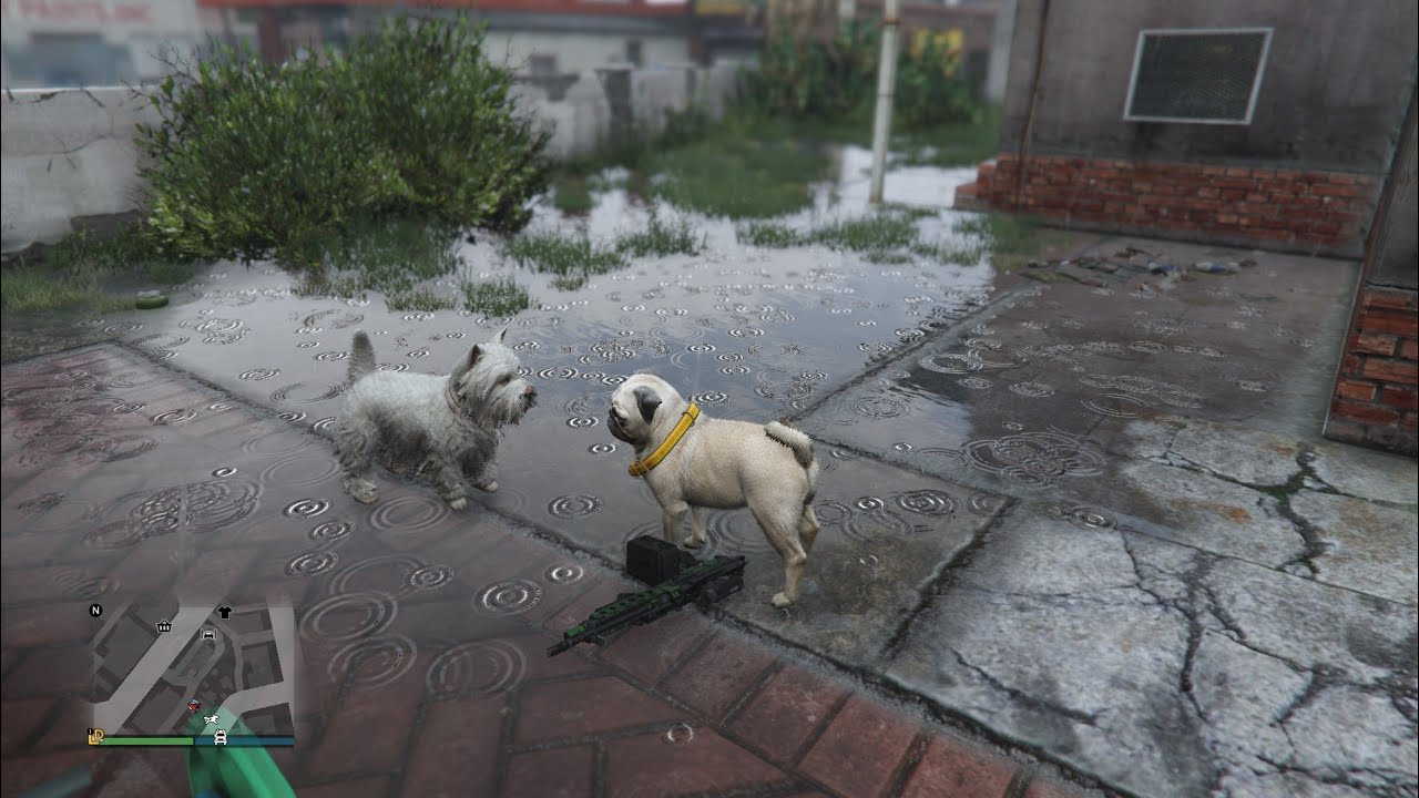 RP GLITCH DODAJ DO ZNAJOMYCH !!!