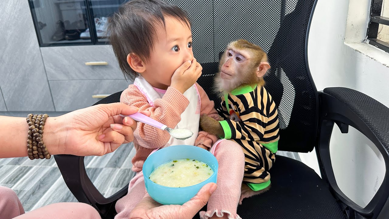 Monkey Kaka and her mom were worried when Diem was lazy to eat